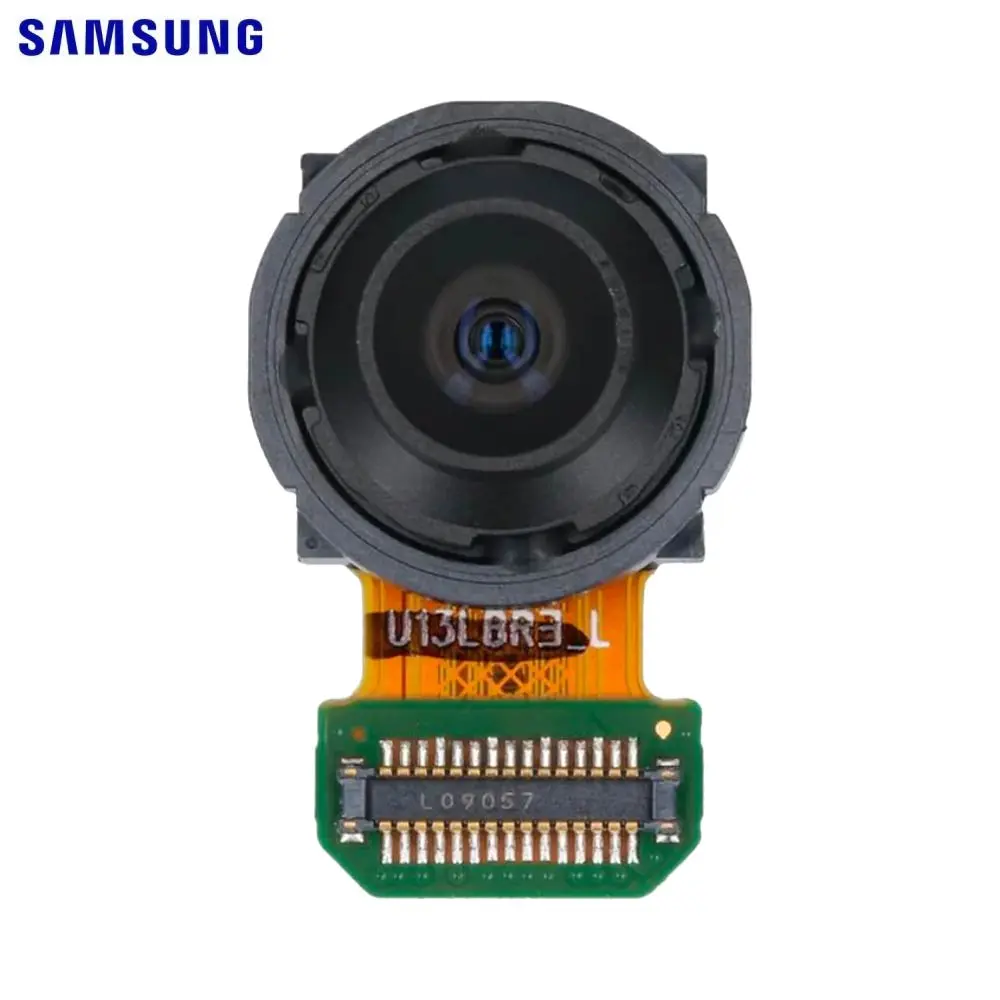 Samsung G780F / G781B S20 FE Main camera ultra wide 12MP