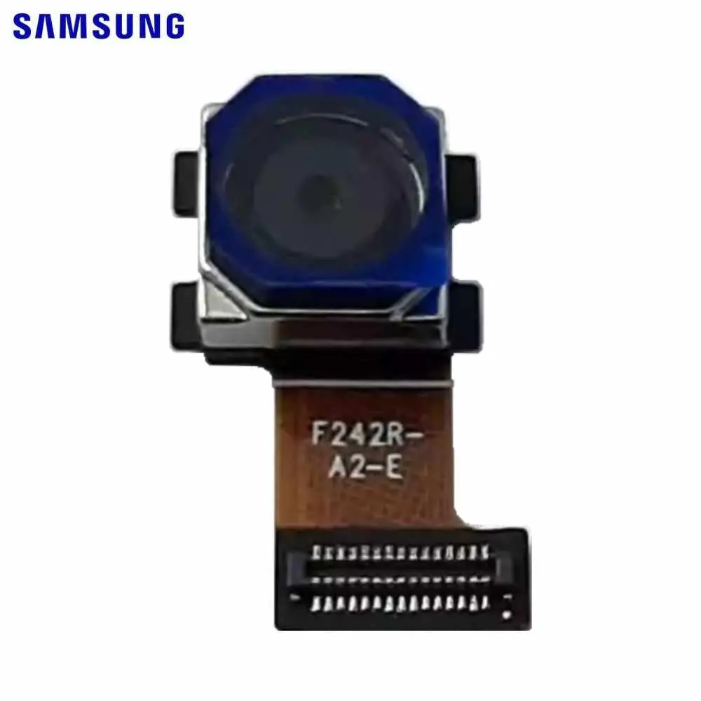Samsung X210 X215 X216 Galaxy Tab A9 Plus Main camera telephoto 8MP
