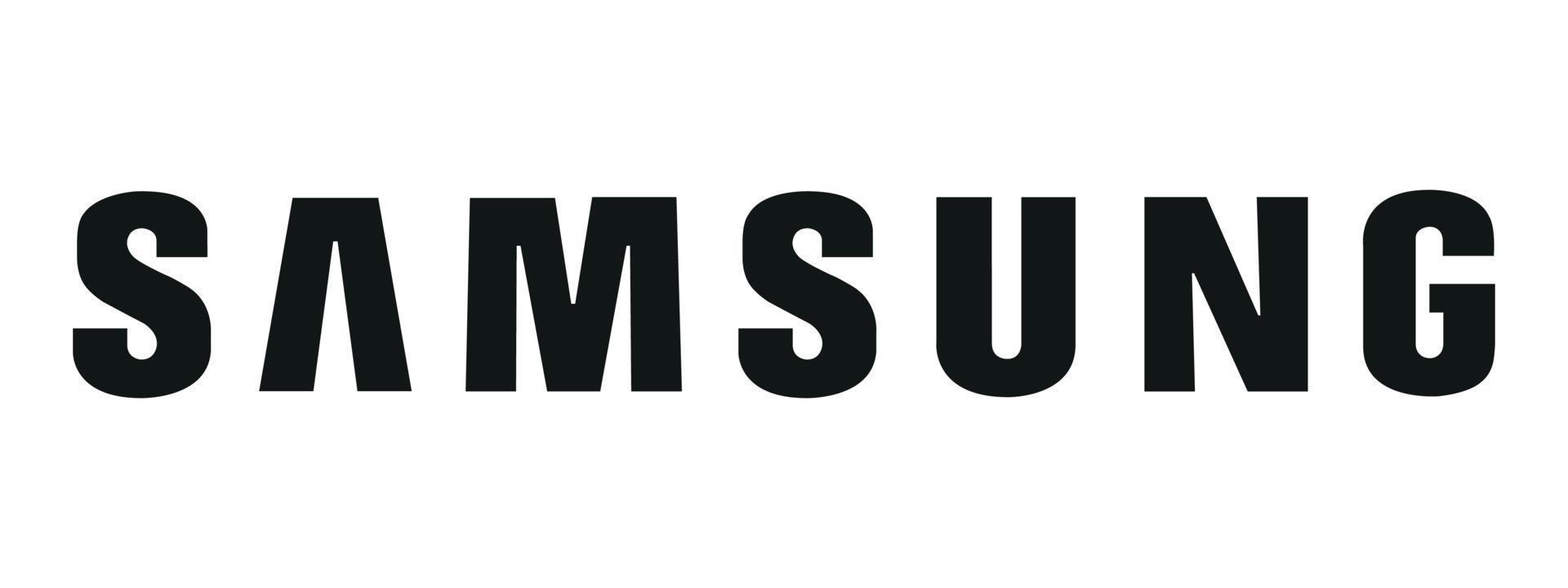 SAMSUNG DISPLAY F700 Z Flip 2020 NO FRAME INNER LCD
