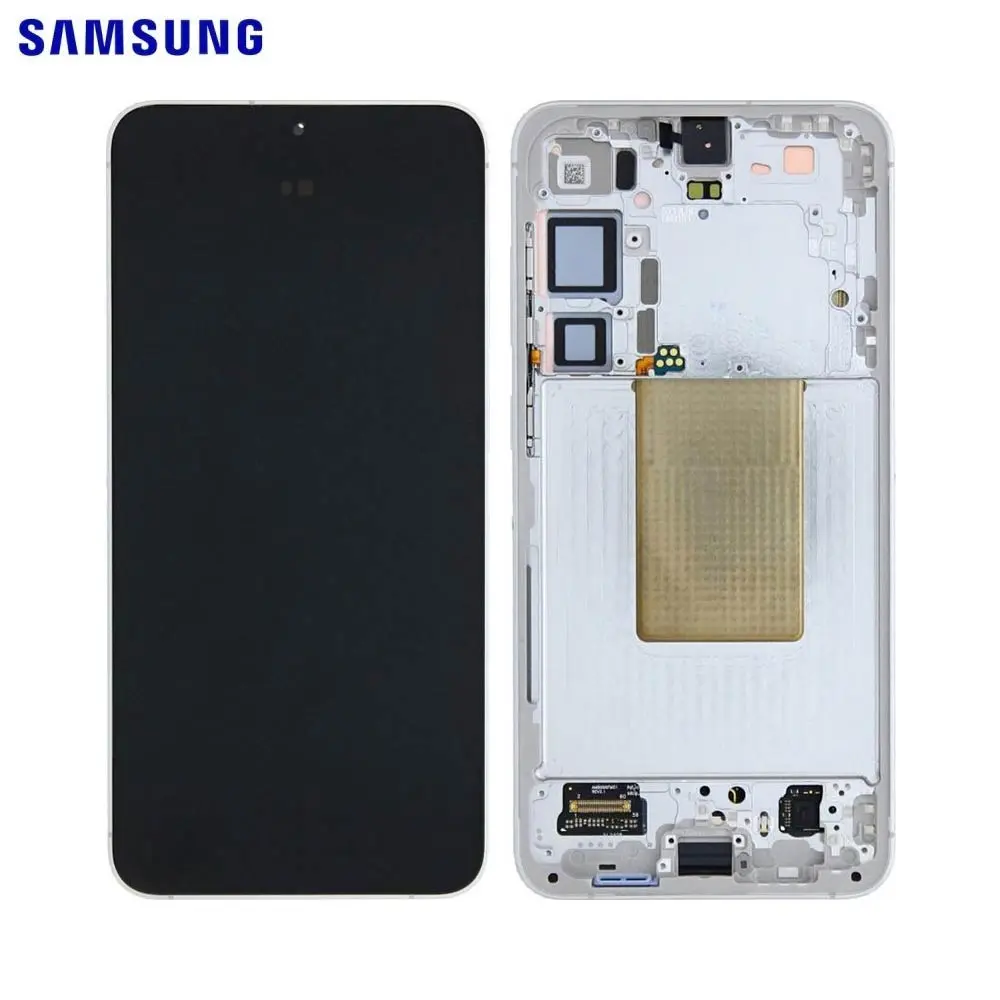 SAMSUNG DISPLAY SM-S926 S24 Plus 5G 2024 GRAY ASSEMBLATO